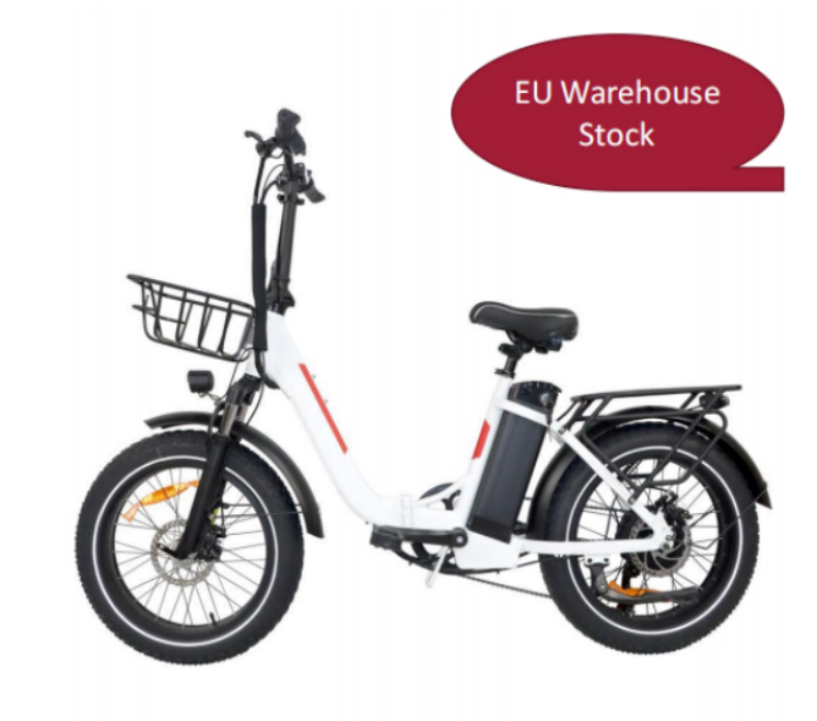 e-bike(DZ-2030)