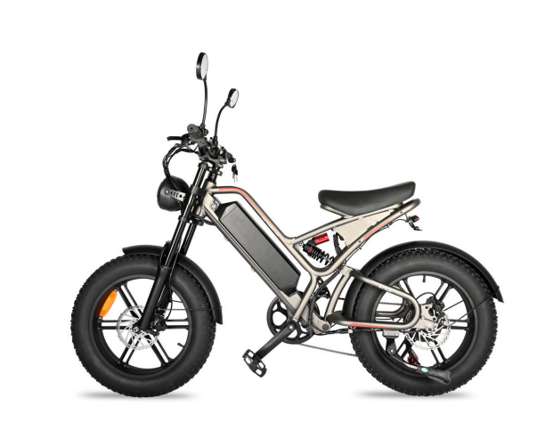 e-bike（B3/DP-2009 ）
