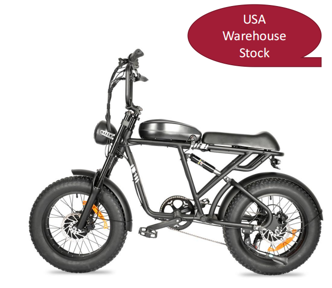 e-bike（DP2004）